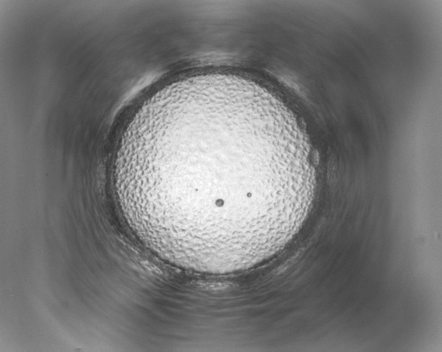 X0000077991309200611251401