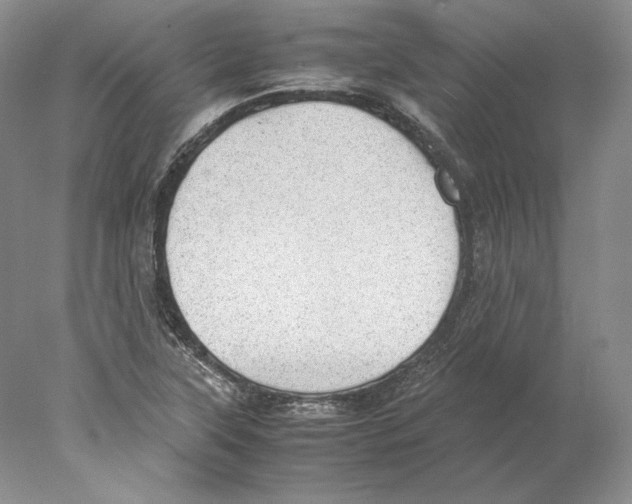 X0000077991315200611251401