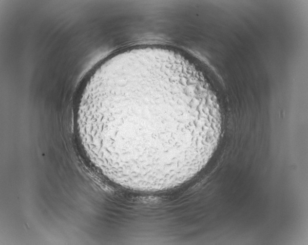 X0000077991317200611251401