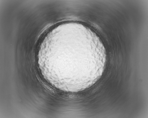 X0000077991318200611251401