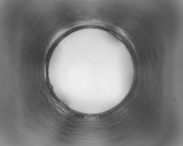 X0000077991320200611251401