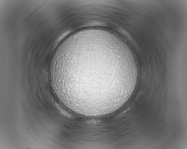 X0000077991321200611251401