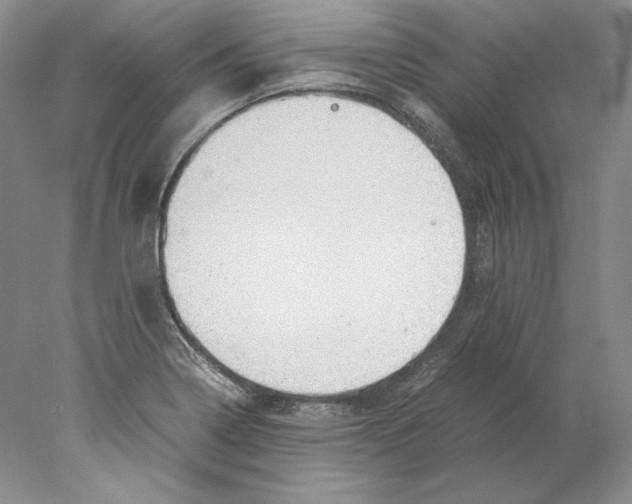 X0000077991322200611251401