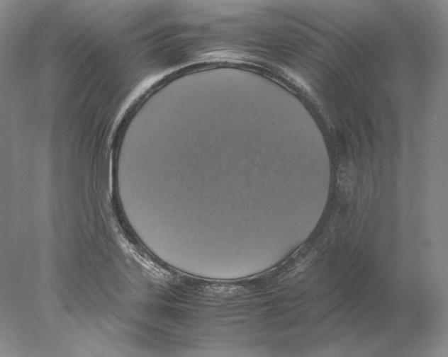 X0000077991323200611251401