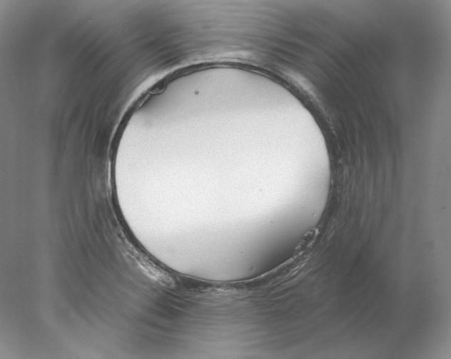 X0000077991324200611251401