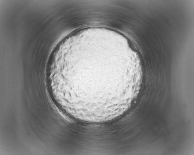X0000077991333200611251401