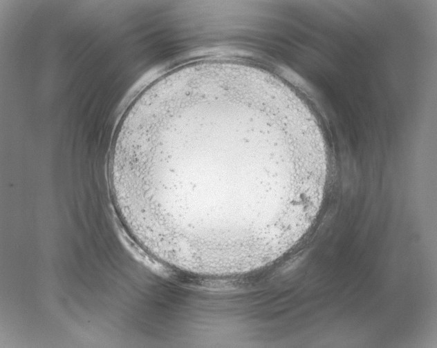 X0000077991338200611251401