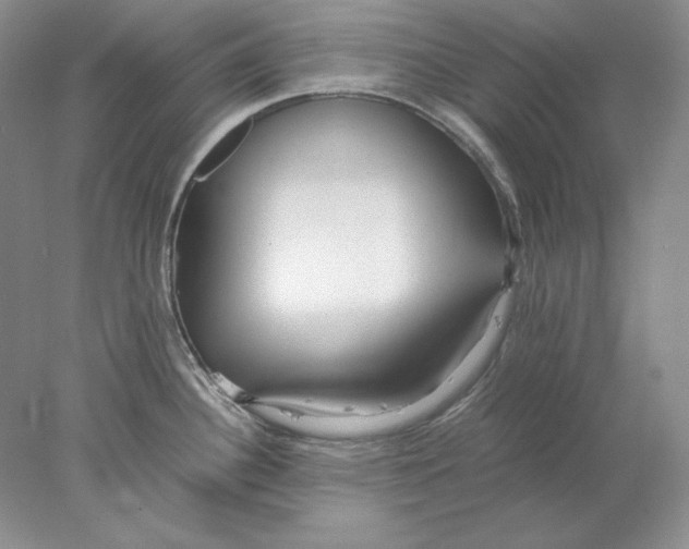 X0000077991340200611251401