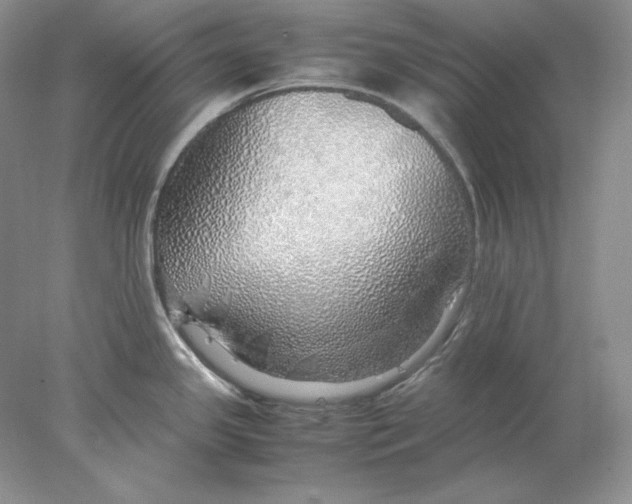 X0000077991341200611251401