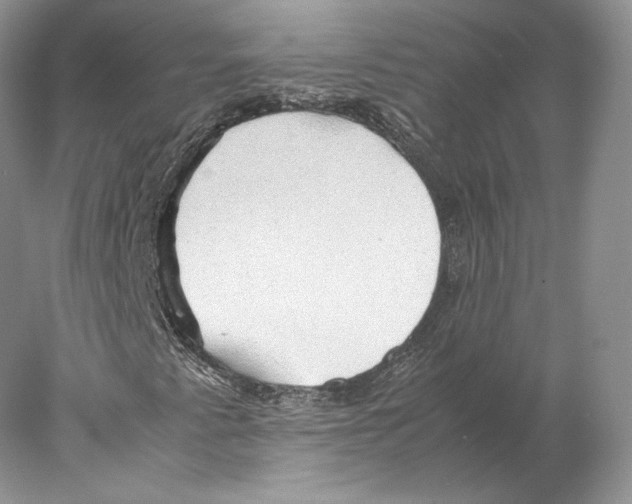 X0000077991345200611251401