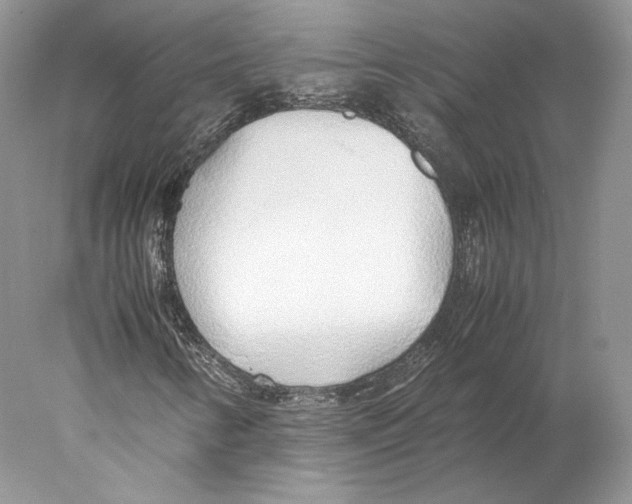 X0000077991346200611251401