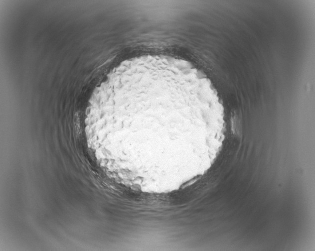 X0000077991347200611251401
