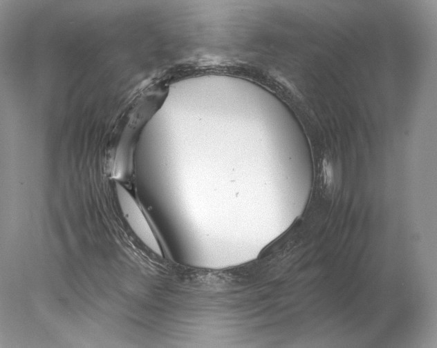 X0000077991348200611251401