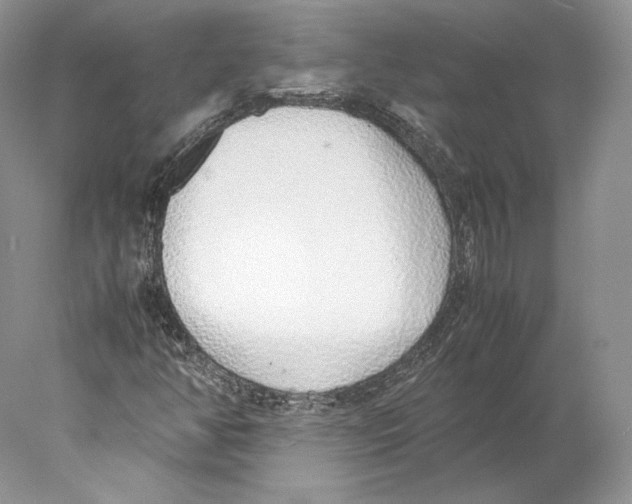 X0000077991350200611251400