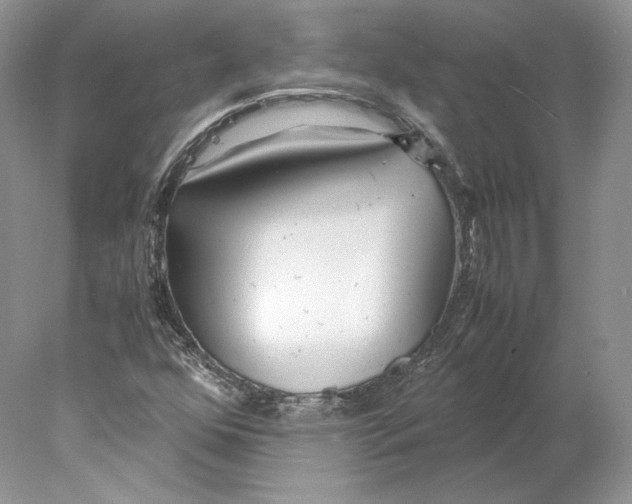 X0000077991352200611251400