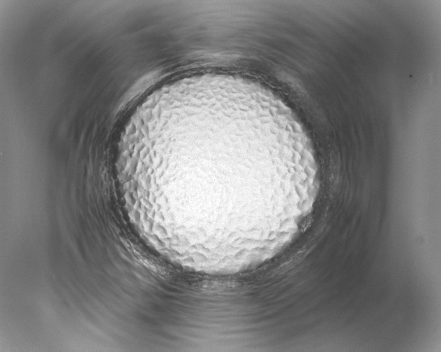 X0000077991354200611251400