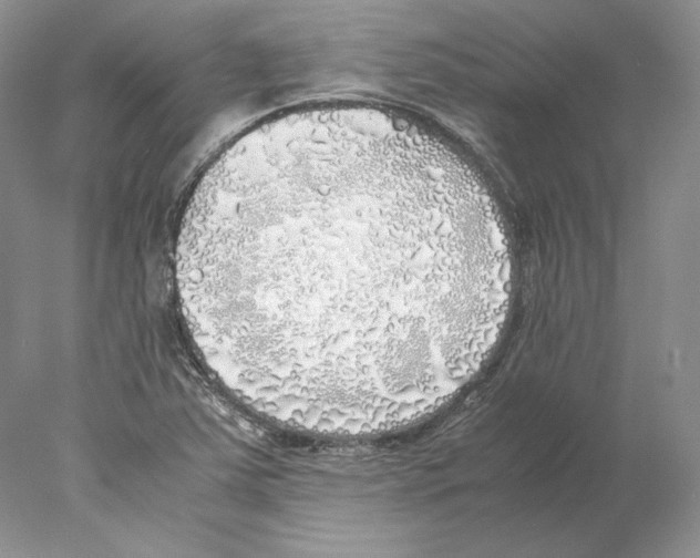 X0000077991363200611251400