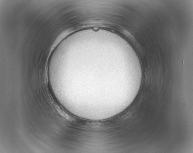 X0000077991370200611251400