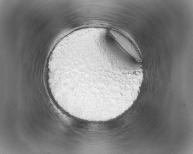 X0000077991379200611251400