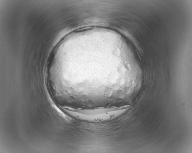 X0000077991383200611251400