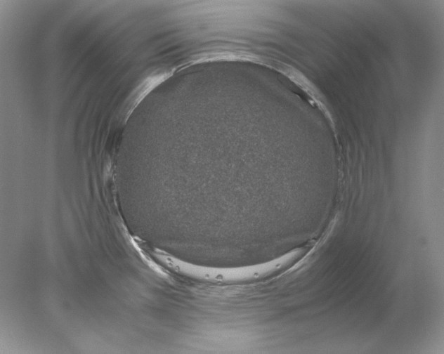 X0000077991385200611251400