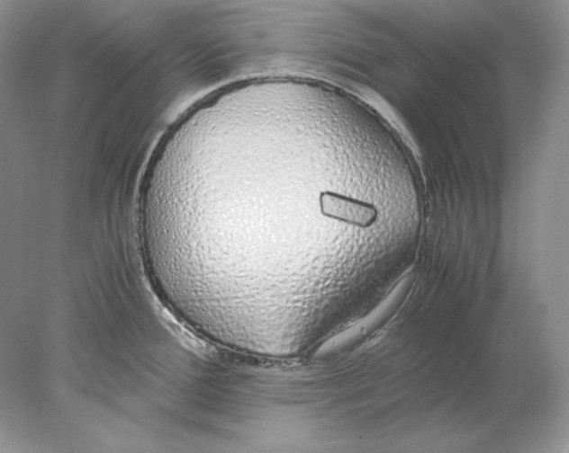 X0000077991388200611251400