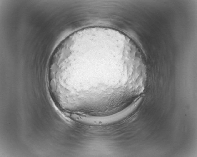 X0000077991391200611251400
