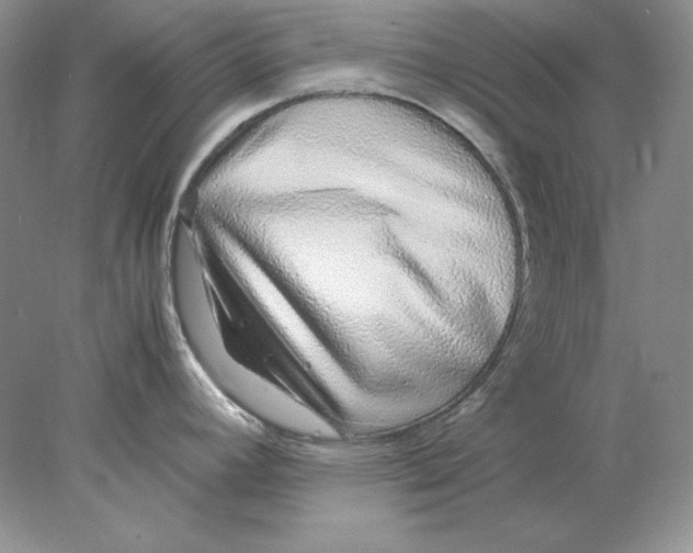 X0000077991392200611251400