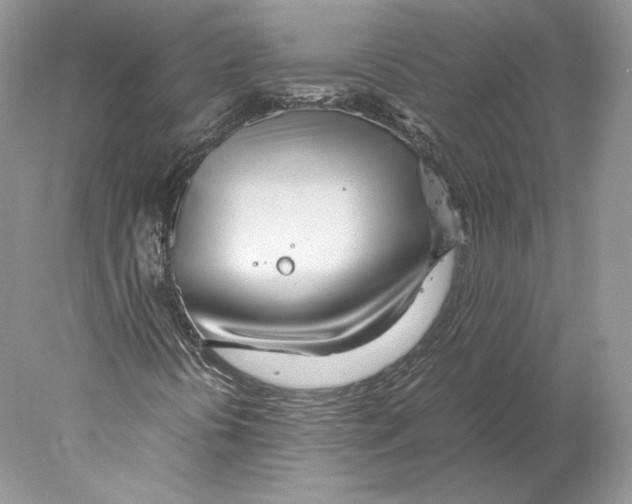 X0000077991394200611251359