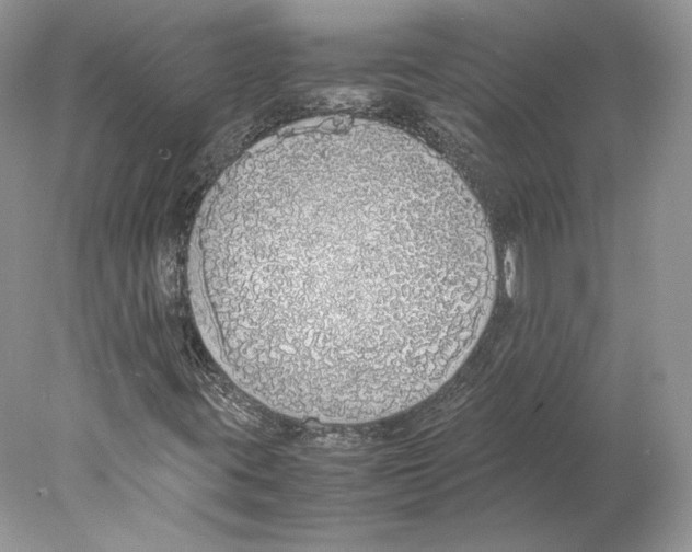 X0000077991395200611251359