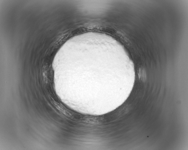 X0000077991396200611251359