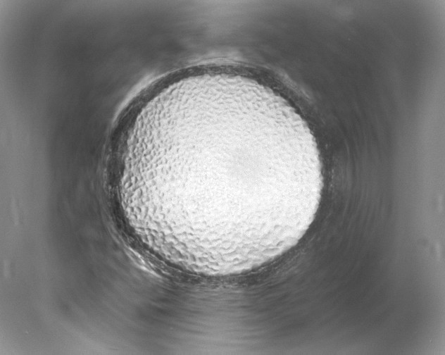 X0000077991400200611251359
