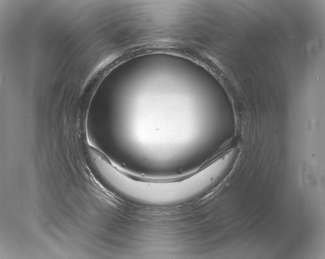 X0000077991402200611251359