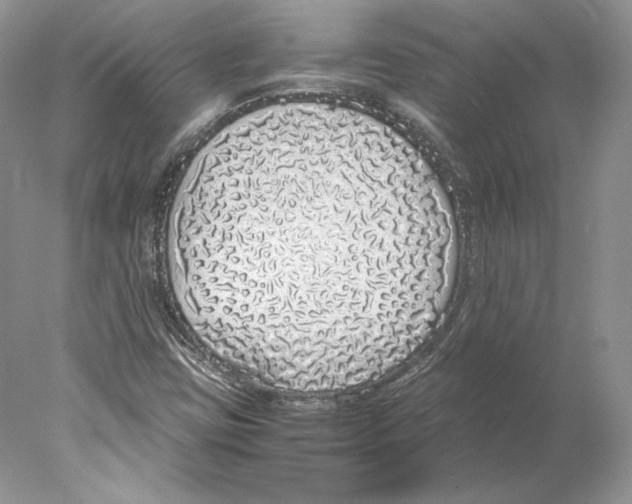 X0000077991403200611251359