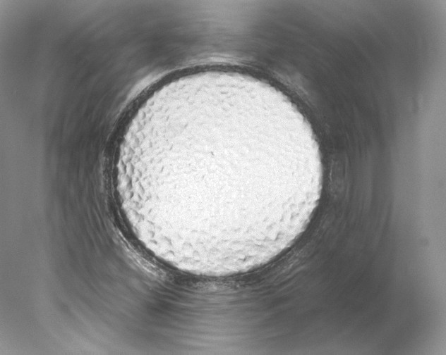 X0000077991404200611251359