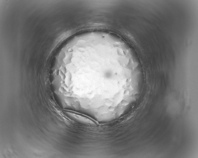 X0000077991405200611251359