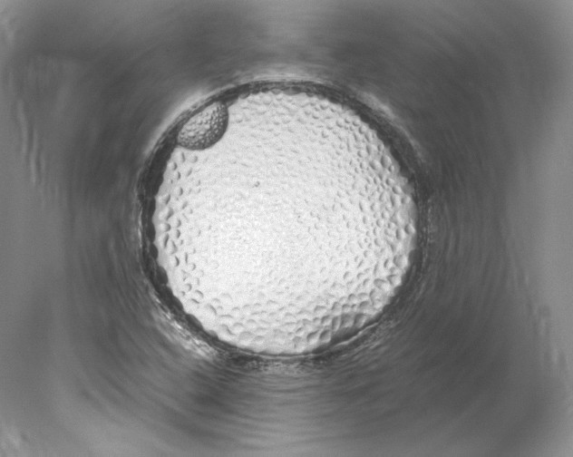X0000077991408200611251359