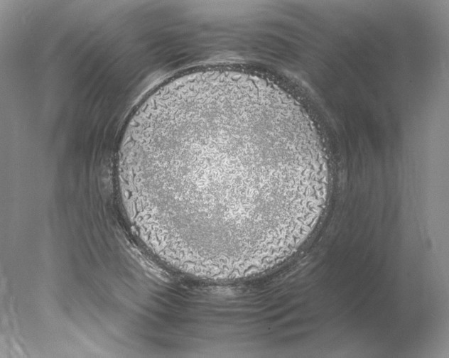 X0000077991409200611251359
