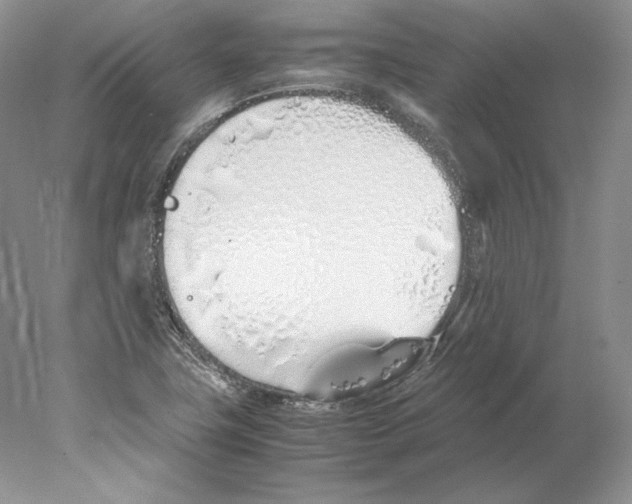 X0000077991411200611251359