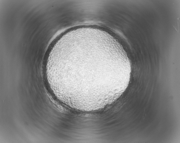 X0000077991412200611251359