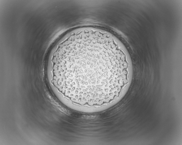 X0000077991415200611251359