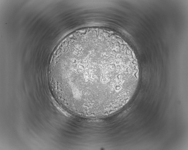 X0000077991417200611251359