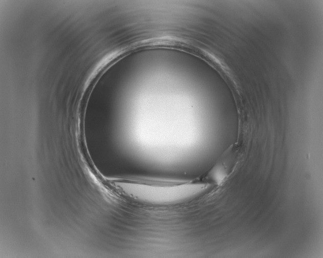 X0000077991418200611251359