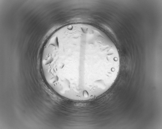 X0000077991419200611251359