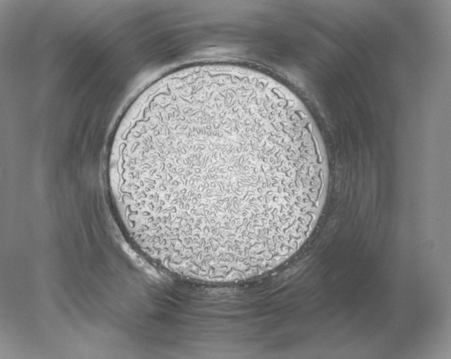 X0000077991421200611251359