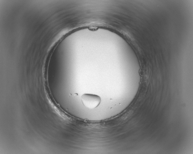 X0000077991422200611251359