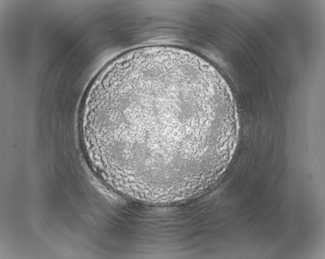 X0000077991423200611251359