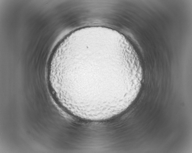 X0000077991424200611251359