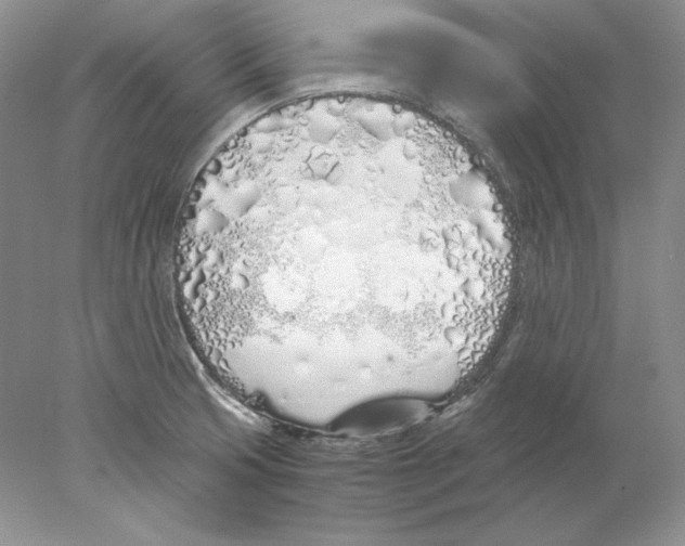 X0000077991425200611251359