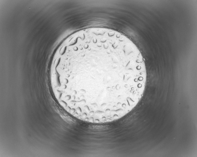X0000077991427200611251400
